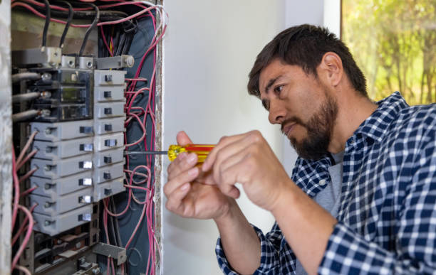 Best Electric Panel Repair  in Luling, LA